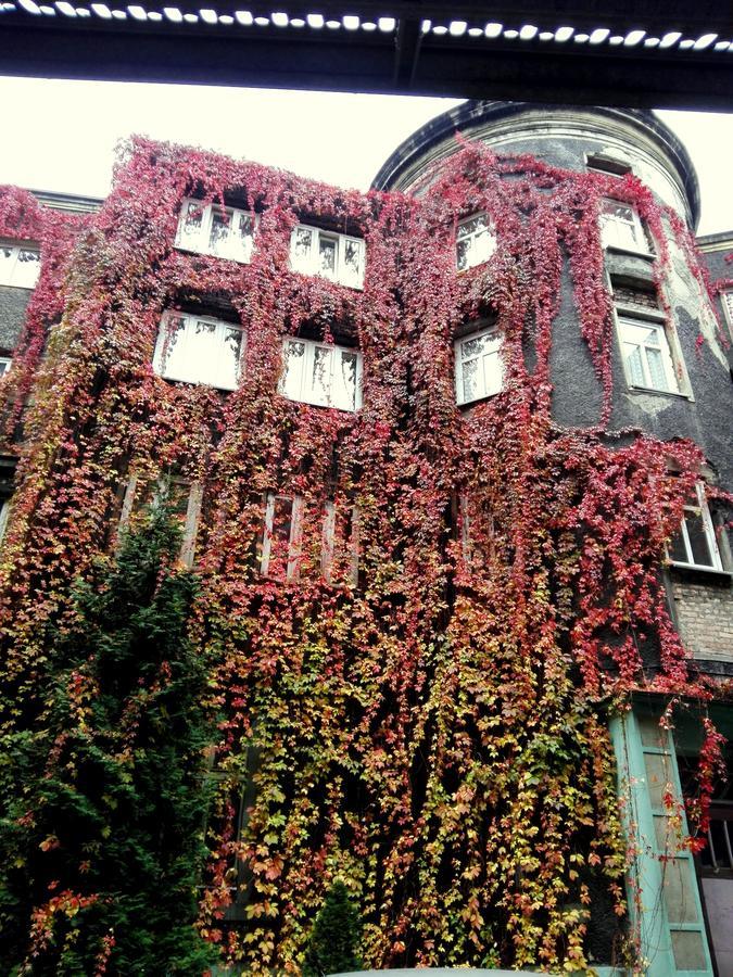Bed and Breakfast Bristol Economy Битом Екстер'єр фото